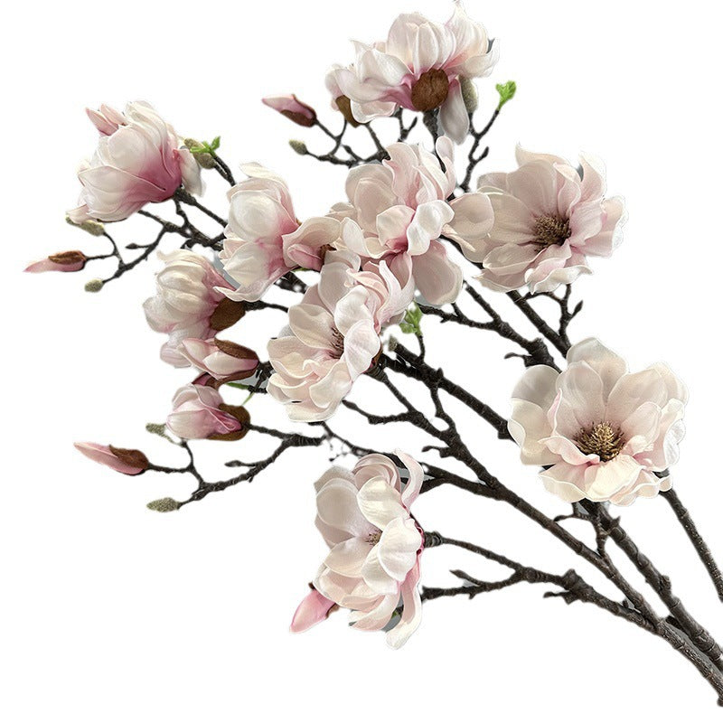 206c44bb0f5240c8dfd6ee5f4fc8f290