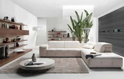 RUGS, PAID & PROTECTORS